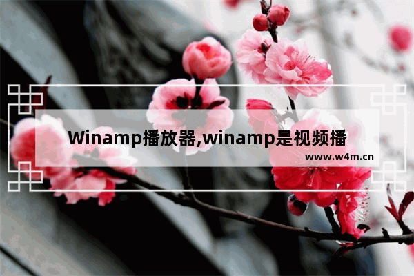 Winamp播放器,winamp是视频播放软件吗