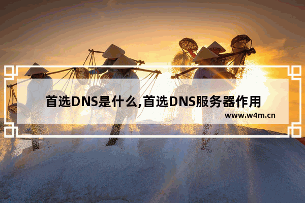 首选DNS是什么,首选DNS服务器作用