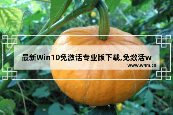 最新Win10免激活专业版下载,免激活windows10系统下载