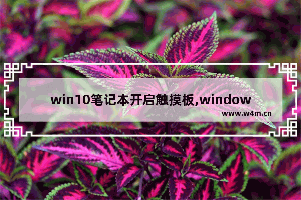 win10笔记本开启触摸板,windows10笔记本怎么激活