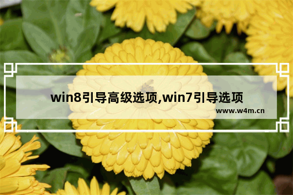 win8引导高级选项,win7引导选项