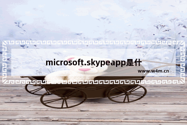 microsoft.skypeapp是什么,微软Skype