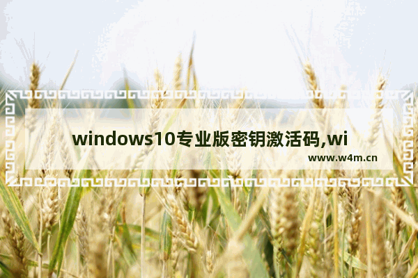 windows10专业版密钥激活码,win10密钥激活码大全