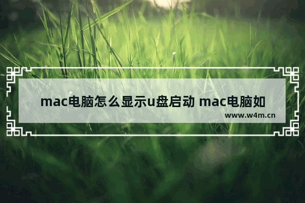 mac电脑怎么显示u盘启动 mac电脑如何从u盘启动