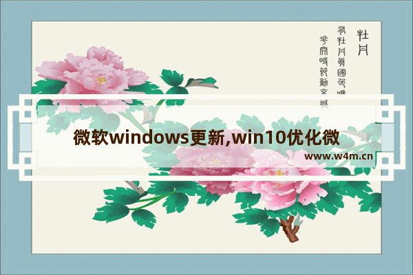 微软windows更新,win10优化微软技术