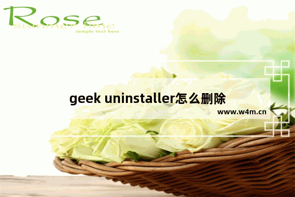 geek uninstaller怎么删除文件,geek uninstaller中找不到要删除的软件