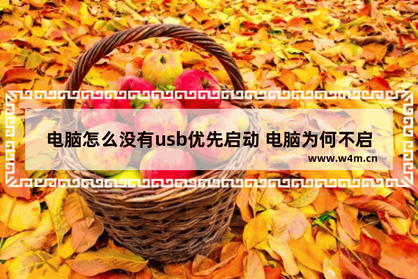 电脑怎么没有usb优先启动 电脑为何不启动USB优先？