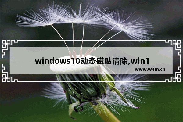 windows10动态磁贴清除,win10已固定磁贴怎么关闭