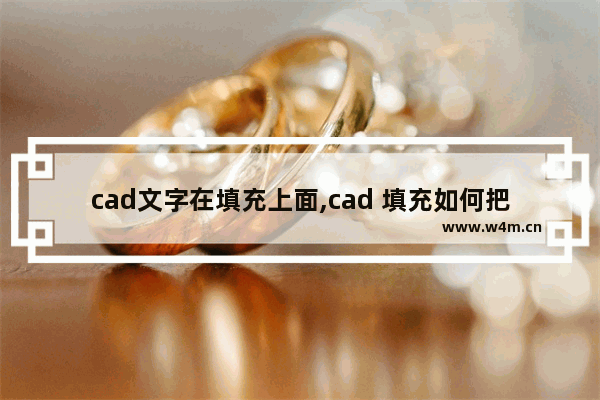 cad文字在填充上面,cad 填充如何把字体周围为填充