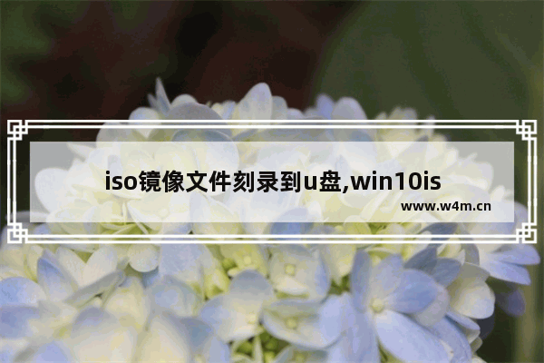 iso镜像文件刻录到u盘,win10iso刻录U盘