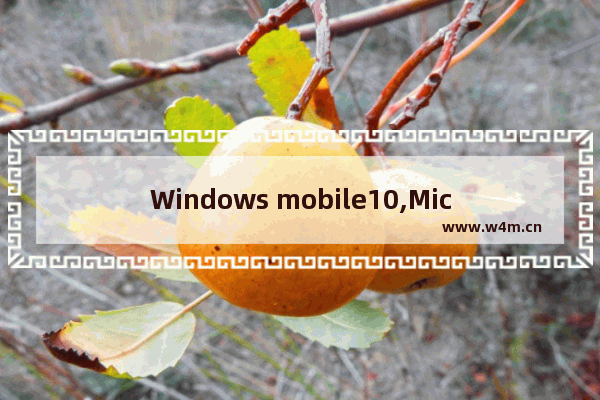 Windows mobile10,Microsoft Windows Mobile