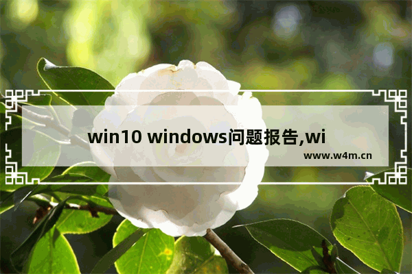 win10 windows问题报告,win10关闭向微软发送报告