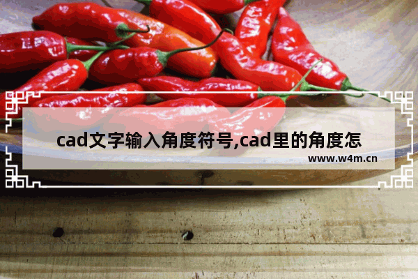 cad文字输入角度符号,cad里的角度怎么输入