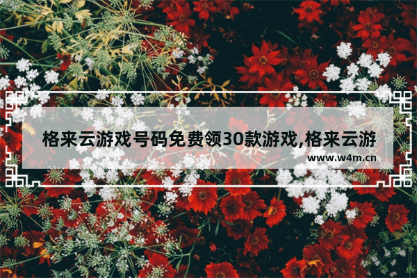 格来云游戏号码免费领30款游戏,格来云游戏密码