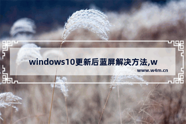 windows10更新后蓝屏解决方法,win10更新之后蓝屏怎么办