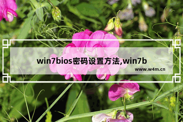 win7bios密码设置方法,win7bios设置密码