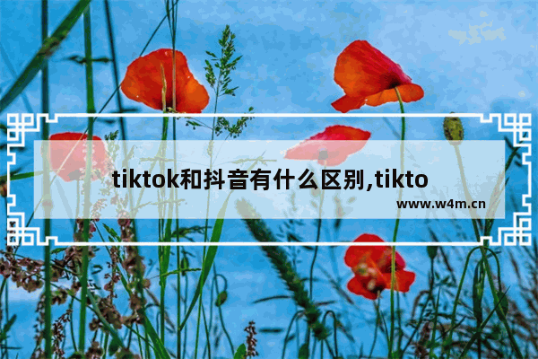 tiktok和抖音有什么区别,tiktok和抖音什么关系