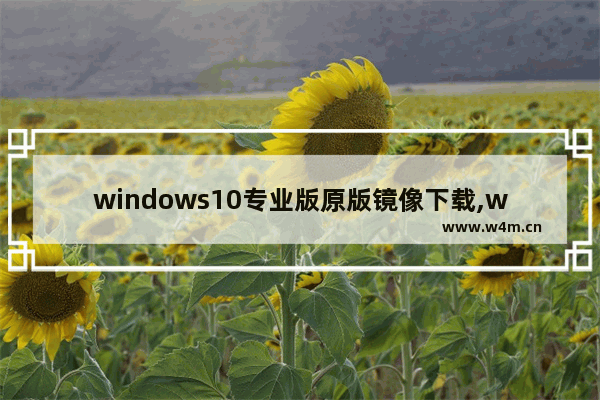 windows10专业版原版镜像下载,win10镜像下载哪个版本