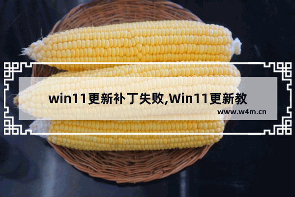 win11更新补丁失败,Win11更新教程