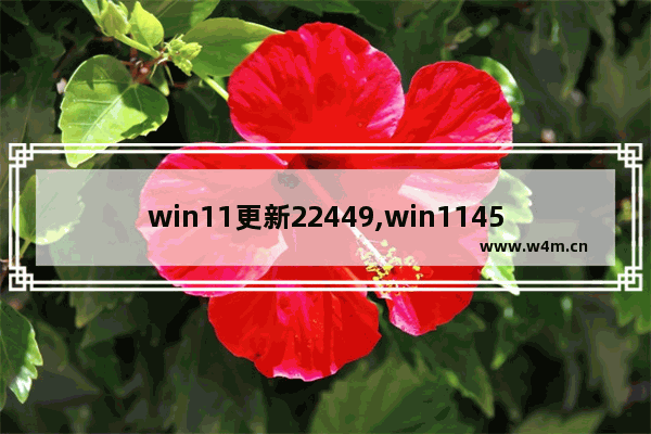 win11更新22449,win114514