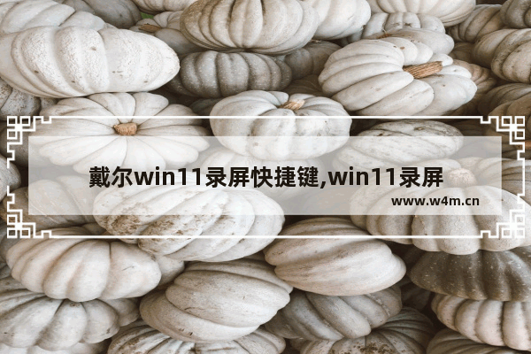 戴尔win11录屏快捷键,win11录屏快捷键ctrl+alt+