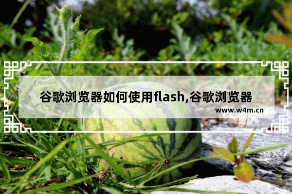 谷歌浏览器如何使用flash,谷歌浏览器怎么用flash