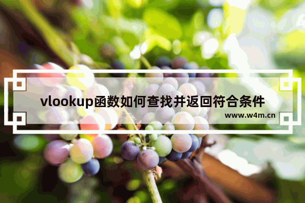 vlookup函数如何查找并返回符合条件的多个值,vlookup函数多条件查询