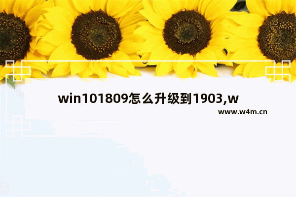 win101809怎么升级到1903,win101709怎么升级1903