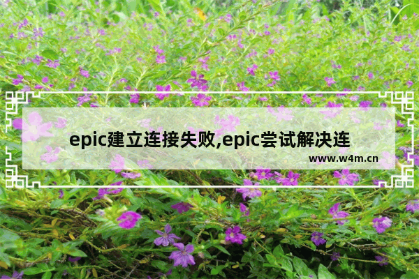 epic建立连接失败,epic尝试解决连接问题