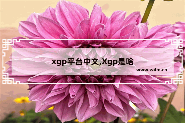 xgp平台中文,Xgp是啥