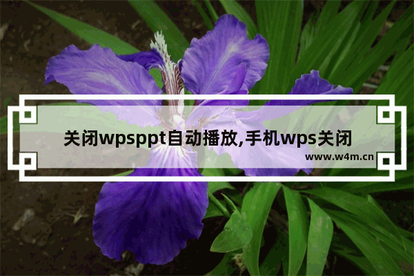 关闭wpsppt自动播放,手机wps关闭自动播放