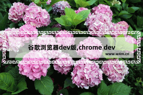 谷歌浏览器dev版,chrome dev是什么