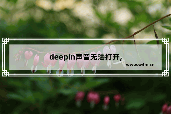 deepin声音无法打开,