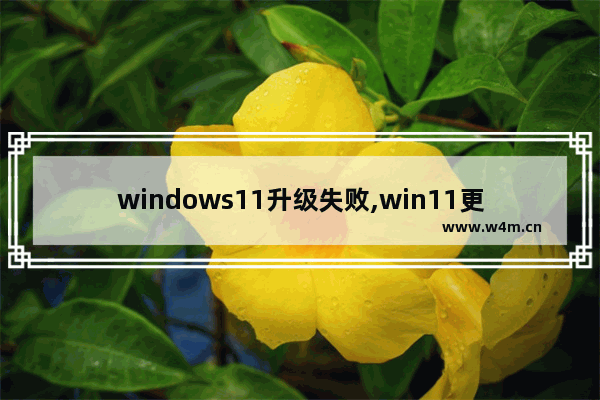 windows11升级失败,win11更新不成功