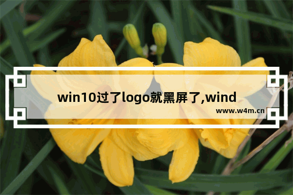 win10过了logo就黑屏了,windows10开机logo后黑屏