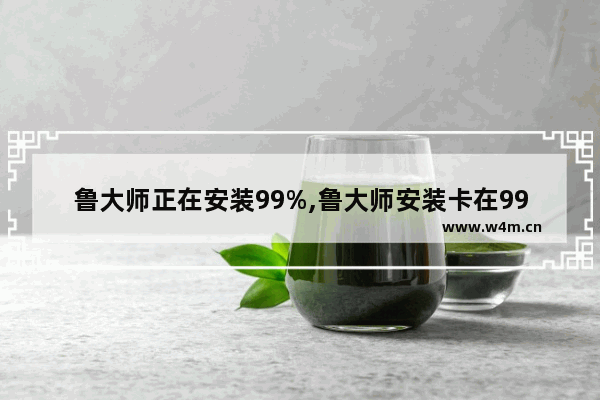 鲁大师正在安装99%,鲁大师安装卡在99