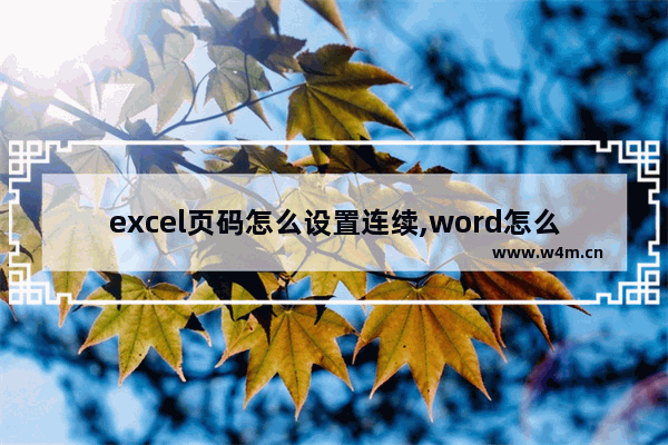 excel页码怎么设置连续,word怎么设置页码连续从任意数字开始