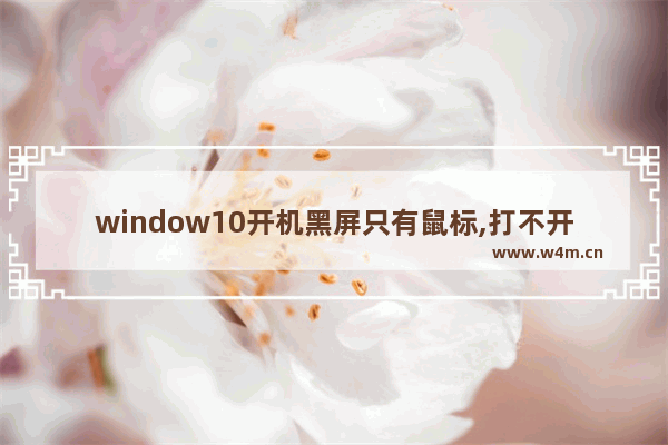 window10开机黑屏只有鼠标,打不开任务管理器,win10死机无法打开任务管理器 鼠标能动