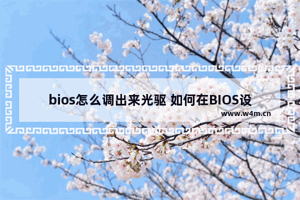 bios怎么调出来光驱 如何在BIOS设置中找到光驱？