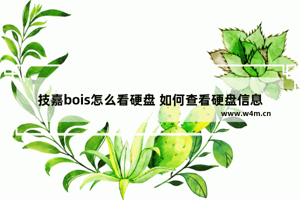 技嘉bois怎么看硬盘 如何查看硬盘信息-技嘉Bois