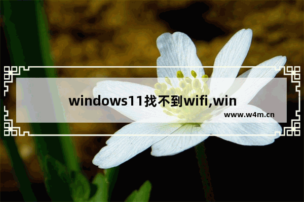 windows11找不到wifi,windows11连不上wifi