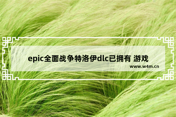 epic全面战争特洛伊dlc已拥有 游戏里面没有,全面战争特洛伊dlc领取