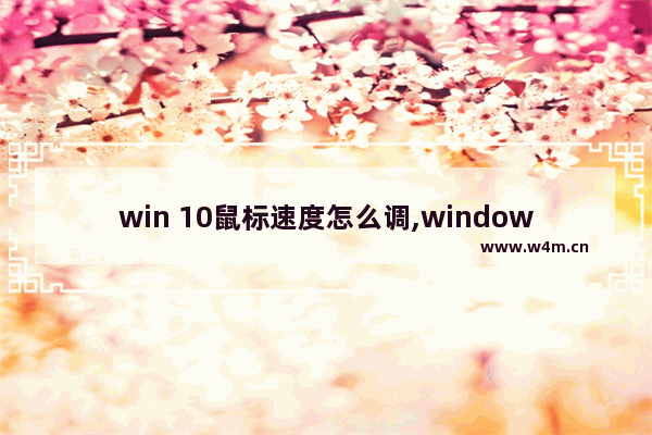 win 10鼠标速度怎么调,window10鼠标速度设置