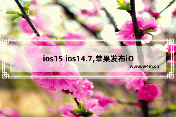 ios15 ios14.7,苹果发布iOS 15测试版