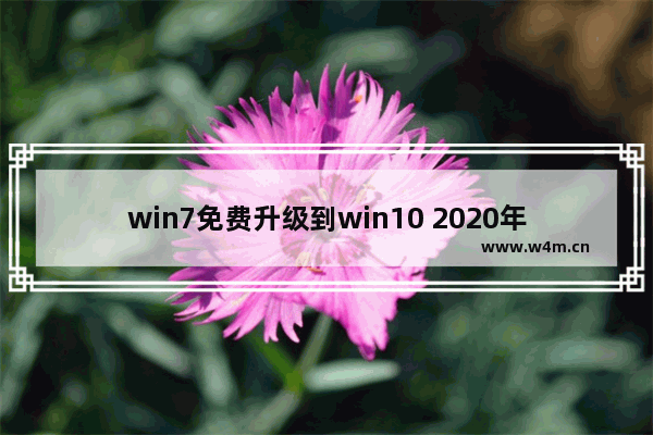 win7免费升级到win10 2020年还有效吗,2020win8升级win10还免费吗