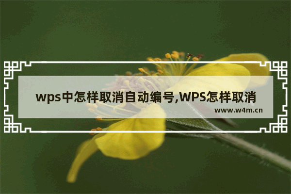 wps中怎样取消自动编号,WPS怎样取消自动编号