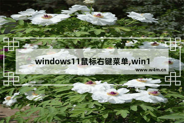 windows11鼠标右键菜单,win10鼠标右键选项怎么设置