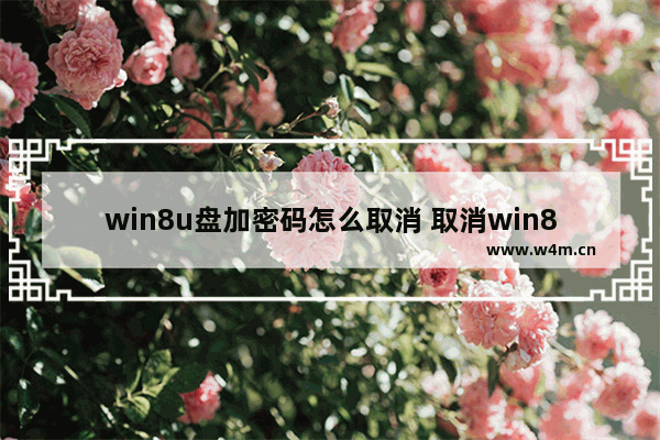 win8u盘加密码怎么取消 取消win8u盘加密步骤