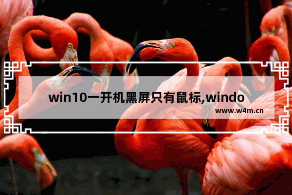 win10一开机黑屏只有鼠标,windows开机后黑屏只有鼠标