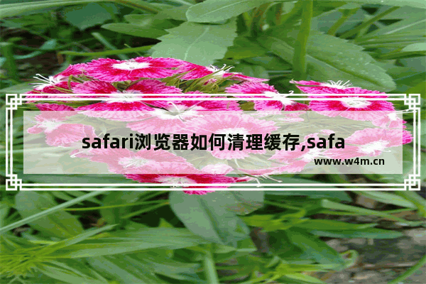 safari浏览器如何清理缓存,safari浏览器如何清除缓存